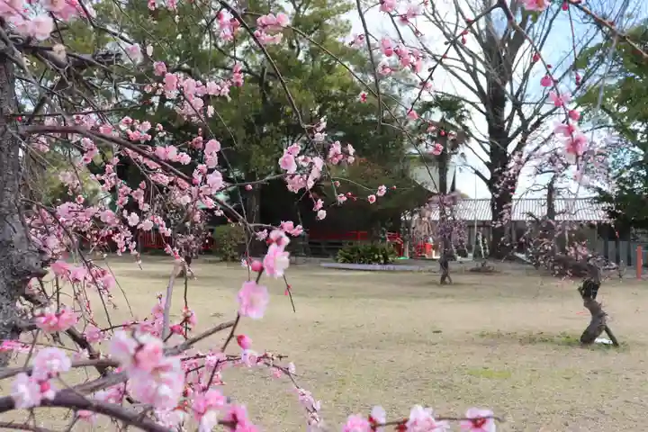 美奈宜神社(福岡県)