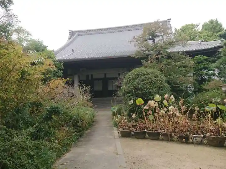 専念寺(愛知県)