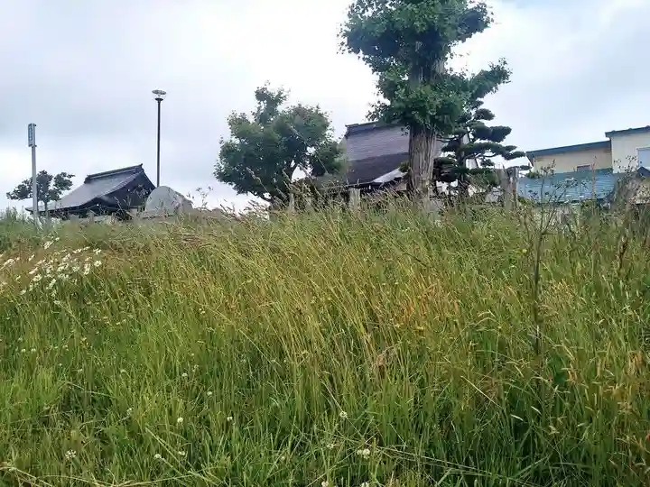 雨竜 専福寺(北海道)