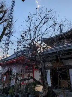 成願寺(東京都)