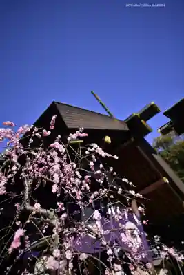 東京大神宮(東京都)