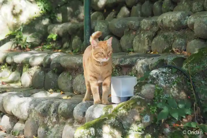 笠置寺(京都府)