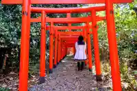 満福寺(三好稲荷閣)の{uncategorized: "未分類", other: "その他", undefined: "問題あり", building: "その他建物", grave: "お墓", sacred_gate: "鳥居", guardian: "狛犬", statue: "像", buddha: "仏像", history: "歴史", nature: "自然", garden: "庭園", animal: "動物", pagoda: "塔", temizu: "手水舎", mountain_gate: "山門・神門", sanctuary: "本殿・本堂", subordinate: "末社・摂社", art: "芸術", scenery: "景色", jizo: "地蔵", ema: "絵馬", goshuin: "御朱印", omikuji: "おみくじ", items: "授与品その他", amulet: "お守り", goshuincho: "御朱印帳", eats: "食事", festival: "お祭り", votive_dance: "神楽", shichigosan: "七五三参", wedding: "結婚式", experience: "体験その他", initially: "初詣", around: "周辺", anti_infection: "感染症対策"}