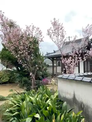 浄運寺のその他建物