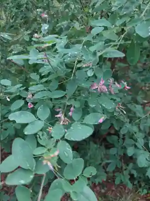 刺田比古神社(和歌山県)