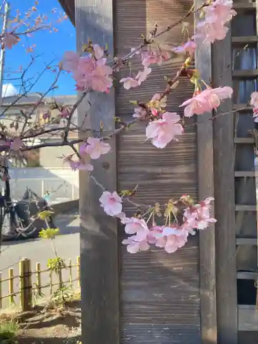 教善寺(神奈川県)