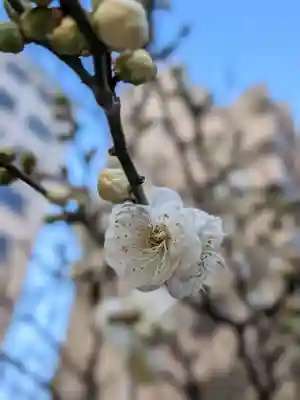 銀世界稲荷神社(東京都)