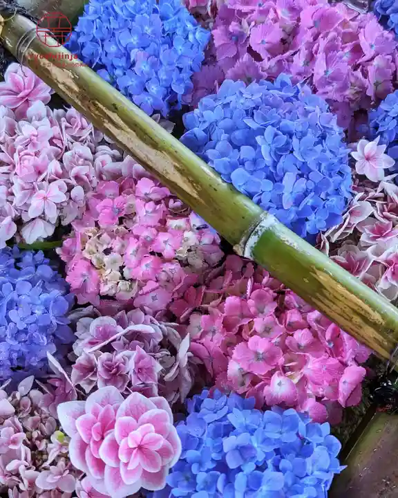 立志神社(滋賀県)