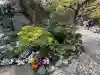 長谷寺の{uncategorized: "未分類", other: "その他", undefined: "問題あり", building: "その他建物", grave: "お墓", sacred_gate: "鳥居", guardian: "狛犬", statue: "像", buddha: "仏像", history: "歴史", nature: "自然", garden: "庭園", animal: "動物", pagoda: "塔", temizu: "手水舎", mountain_gate: "山門・神門", sanctuary: "本殿・本堂", subordinate: "末社・摂社", art: "芸術", scenery: "景色", jizo: "地蔵", ema: "絵馬", goshuin: "御朱印", omikuji: "おみくじ", items: "授与品その他", amulet: "お守り", goshuincho: "御朱印帳", eats: "食事", festival: "お祭り", votive_dance: "神楽", shichigosan: "七五三参", wedding: "結婚式", experience: "体験その他", initially: "初詣", around: "周辺", anti_infection: "感染症対策"}