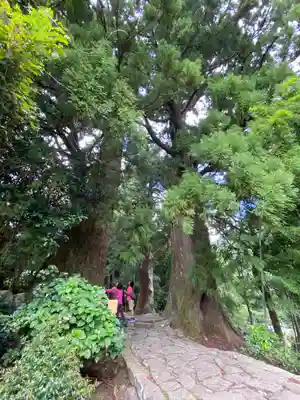 熊野那智大社(和歌山県)