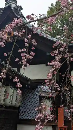 縣神社の自然