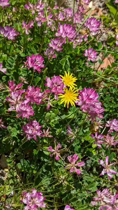 惠心院(京都府)