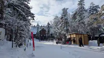 上川神社の初詣