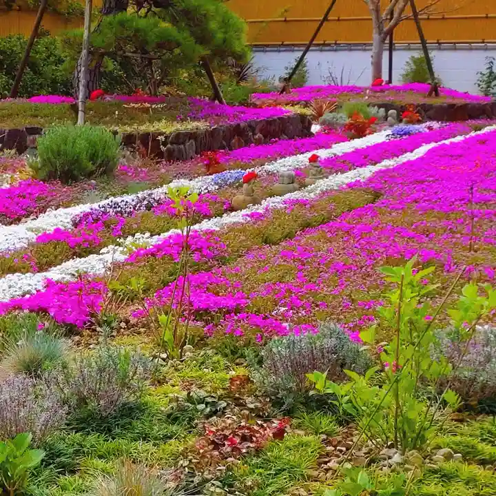 寿量山 速成寺(奈良県)