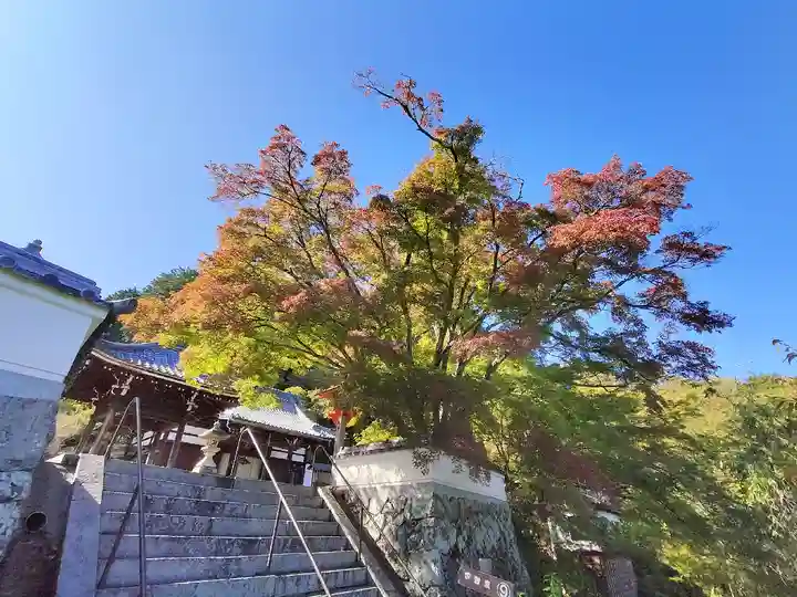 善峯寺(京都府)