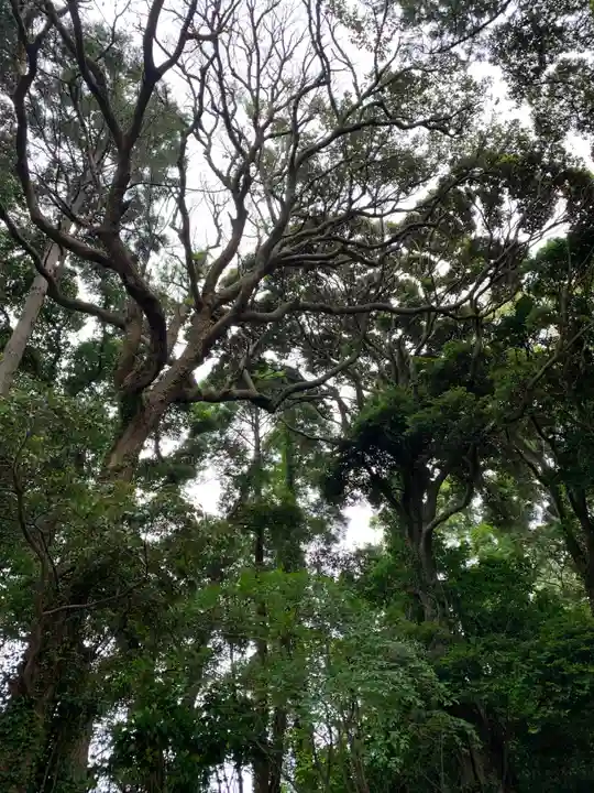 大宮神社の自然