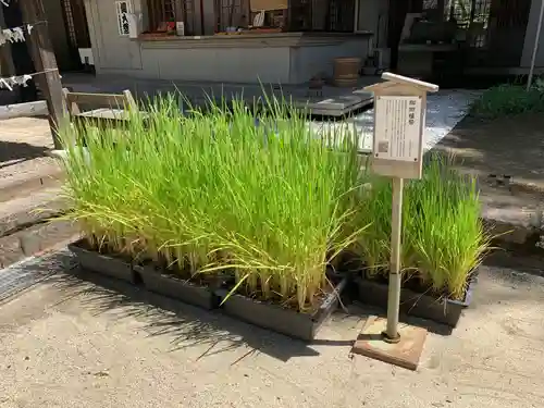 常陸國總社宮(茨城県)