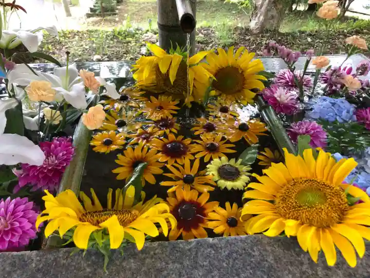 坂本八幡神社の手水舎