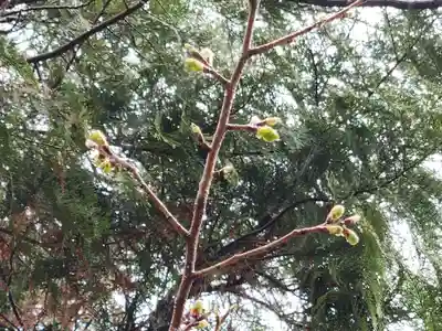 神明社(西堀江神明社)(愛知県)