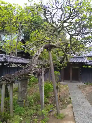 東慶寺の自然