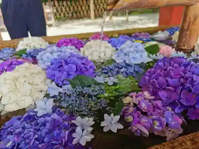 鶴岡八幡宮の手水舎
