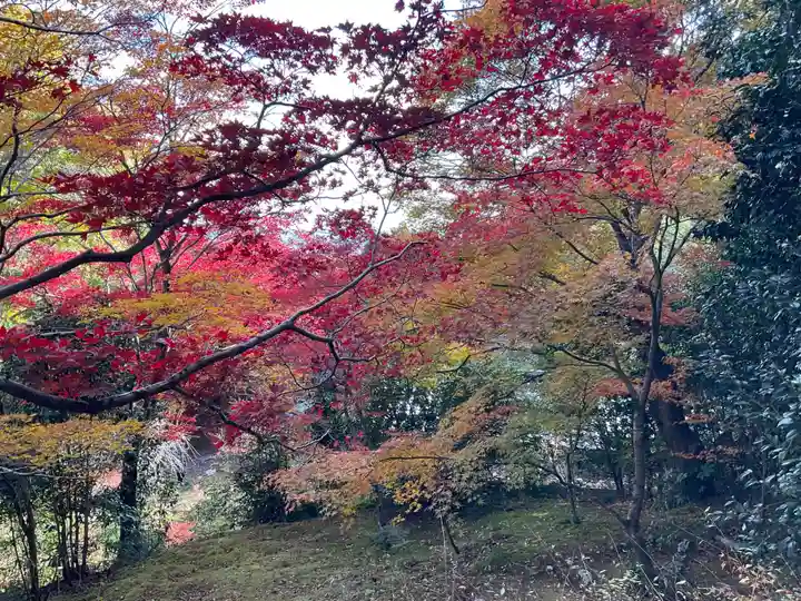 直指庵(京都府)