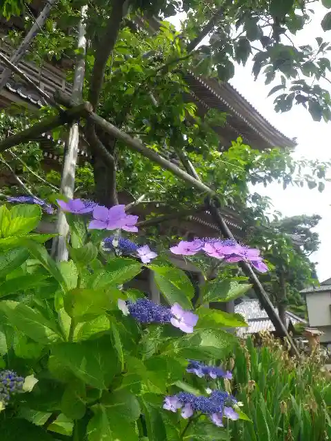 光明寺のその他建物