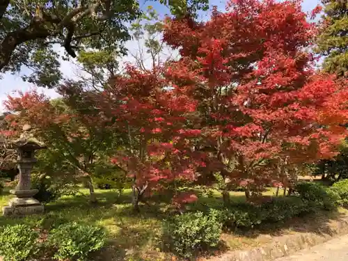 宇佐神宮の庭園