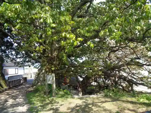 小春大明神(熊本県)