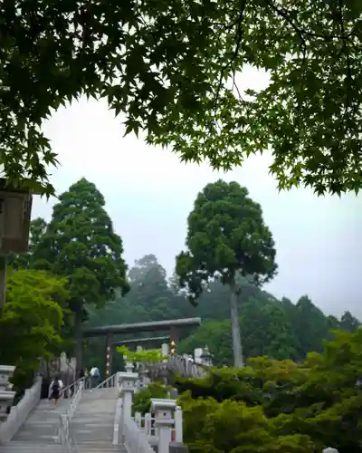 大山阿夫利神社(神奈川県)