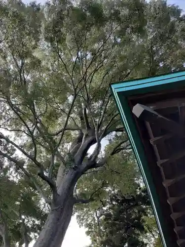 酒門神社(茨城県)