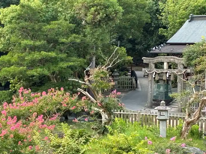 嚴島神社 (京都御苑)(京都府)