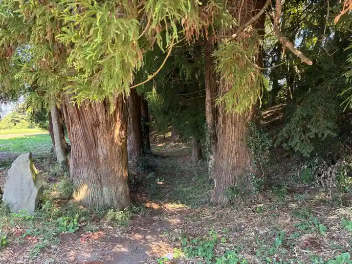 稲積神社(栃木県)