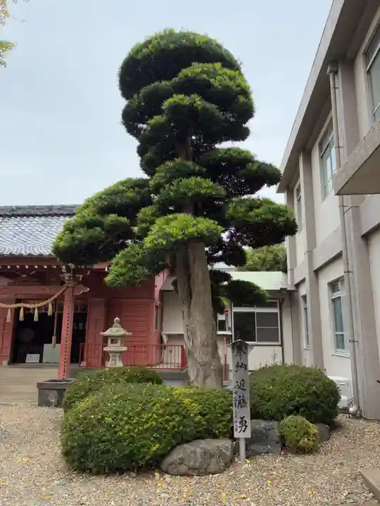 滝台八幡神社(千葉県)