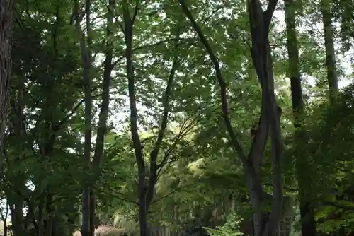 東福禅寺（東福寺）(京都府)