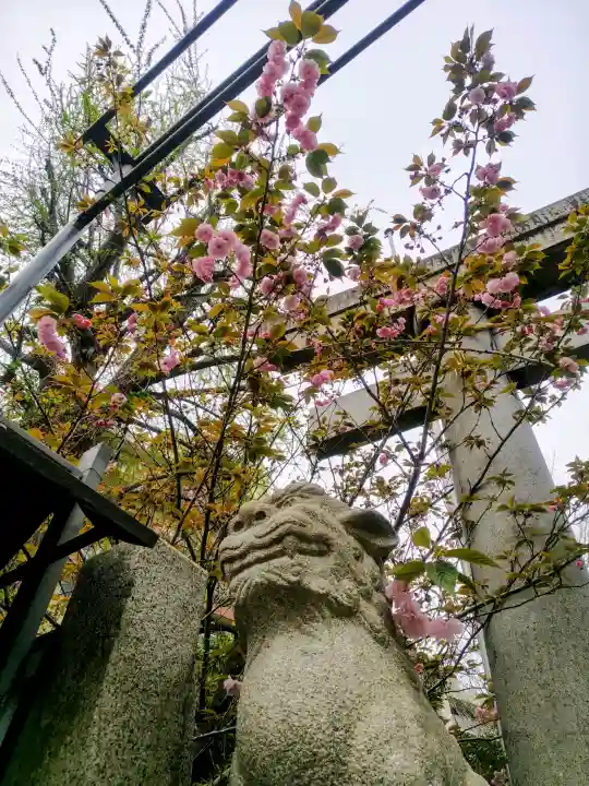 小野照崎神社の{uncategorized: "未分類", other: "その他", undefined: "問題あり", building: "その他建物", grave: "お墓", sacred_gate: "鳥居", guardian: "狛犬", statue: "像", buddha: "仏像", history: "歴史", nature: "自然", garden: "庭園", animal: "動物", pagoda: "塔", temizu: "手水舎", mountain_gate: "山門・神門", sanctuary: "本殿・本堂", subordinate: "末社・摂社", art: "芸術", scenery: "景色", jizo: "地蔵", ema: "絵馬", goshuin: "御朱印", omikuji: "おみくじ", items: "授与品その他", amulet: "お守り", goshuincho: "御朱印帳", eats: "食事", festival: "お祭り", votive_dance: "神楽", shichigosan: "七五三参", wedding: "結婚式", experience: "体験その他", initially: "初詣", around: "周辺", anti_infection: "感染症対策"}