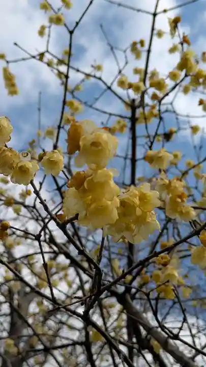 惠心院(恵心院)(京都府)