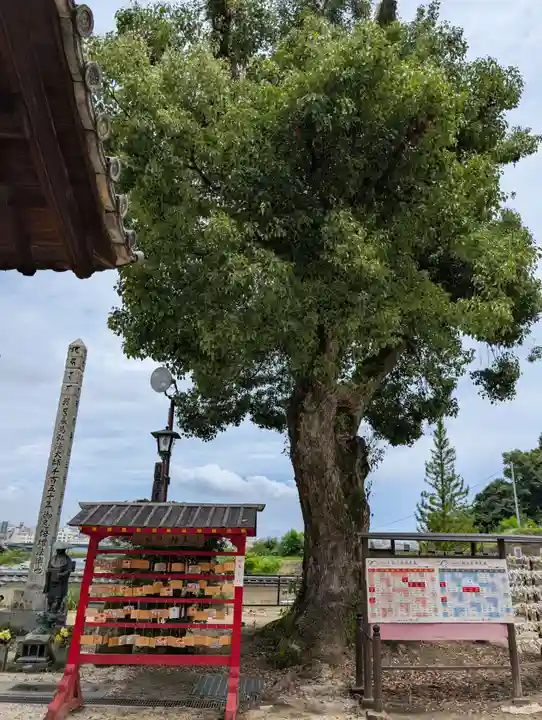 明王院(広島県)
