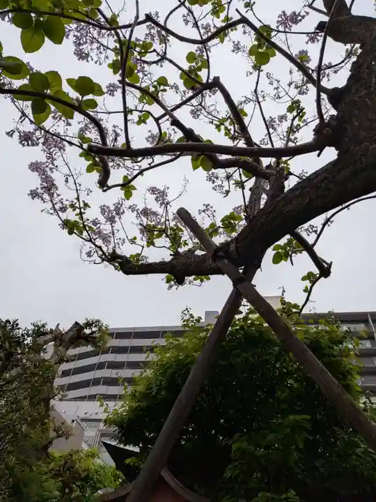 四谷於岩稲荷田宮神社(東京都)