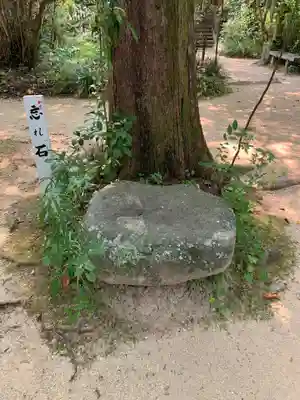 浄瑠璃寺(愛媛県)
