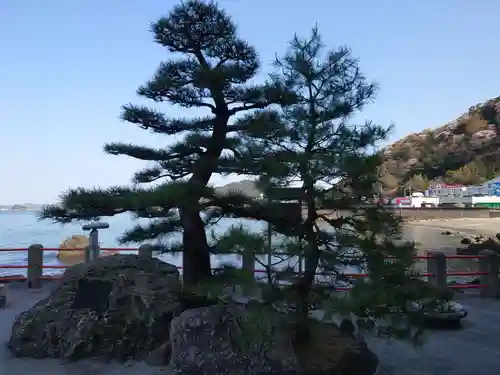 二見興玉神社の自然