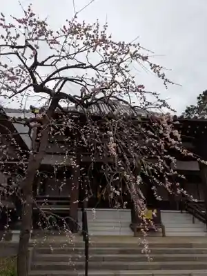妙法寺(東京都)
