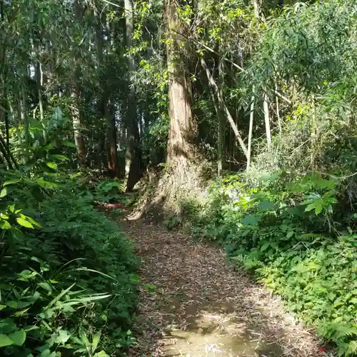 香取神社の自然