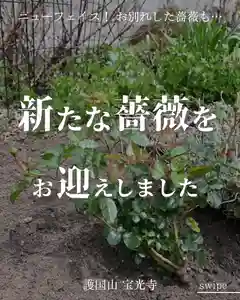 宝光寺(北海道)(2026年05月20日(水) 10時55分45秒投稿)