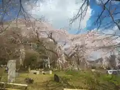 岩屋寺の庭園