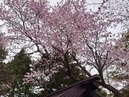 北広島市総鎮守　廣島神社の自然