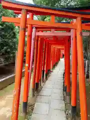 根津神社の鳥居