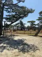 唐崎神社の周辺