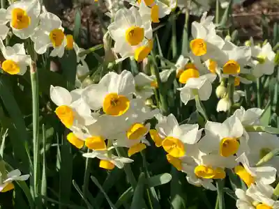 亀戸天神社(東京都)