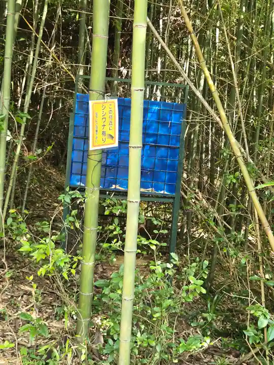 葉梨神社(静岡県)